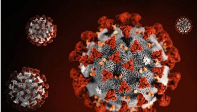 Covid-19 Antigen: A American CDC prevê que mais de 44.000 pessoas podem morrer de Covid-19 nas próximas quatro semanas